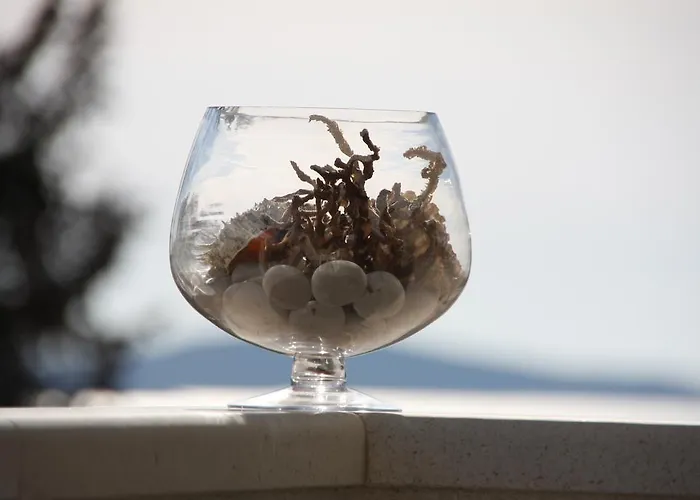 Appartement Nikolina *